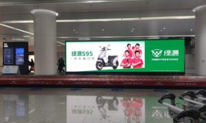 绿源霸屏春节，营销和服务组合拳助力品牌破圈