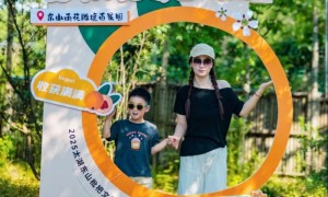 摘枇杷、探古村、追晚霞… 东山枇杷季的正确打开方式在这里！