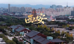 《食养江湖》西安站：刘奕君解密碳水食养，中国劲酒解锁古都“烟火+温润”智慧