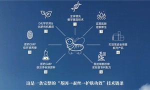 茧迹CAA联合国家重点实验室，解读天然蚕丝细胞级抗衰密码