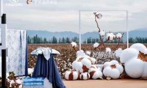 罗莱联合中棉所启动采棉盛典，“好棉·好眠”溯源新疆高品质棉田